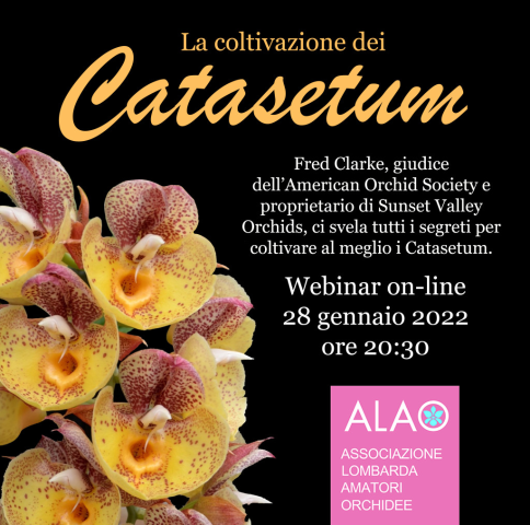 Appuntamento con ALAO |  La coltivazione  dei Catasetum, Fred Clarke