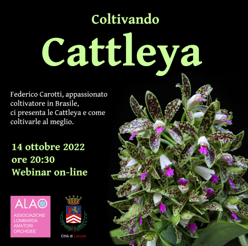 ALAO. Coltivando Cattleya